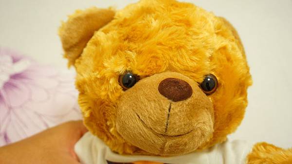 DSC08177.JPG