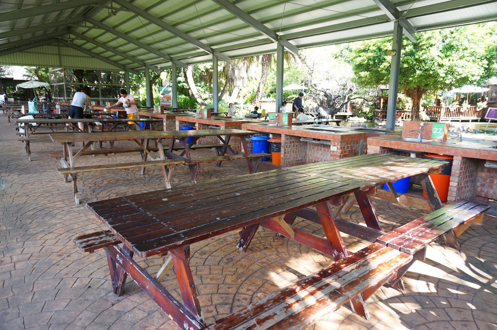 DSC08656.JPG