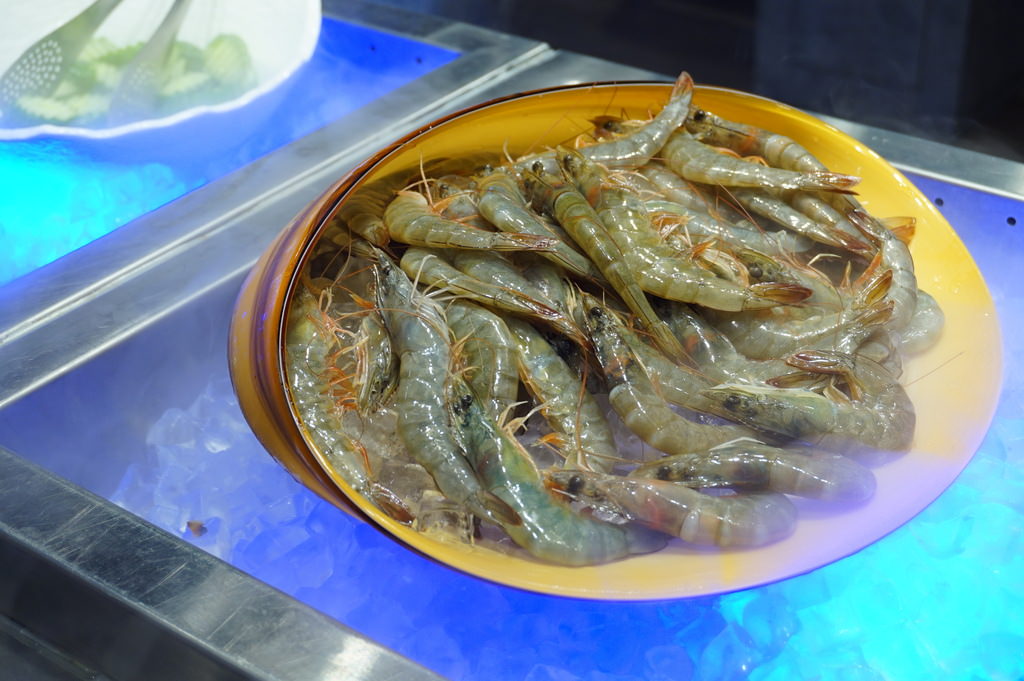 DSC01608.JPG