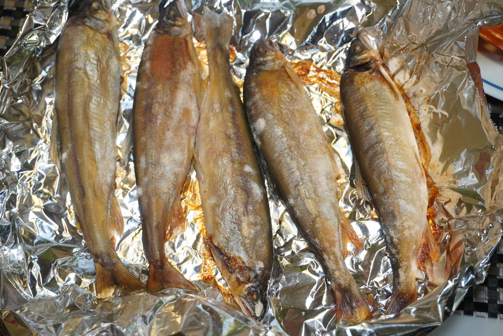 DSC00287.JPG