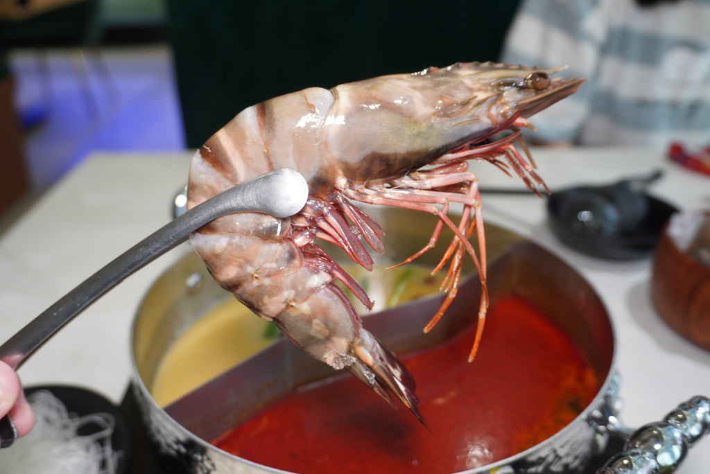 DSC03372.JPG