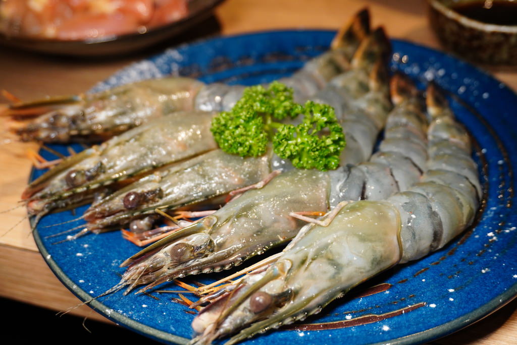 DSC08436.JPG