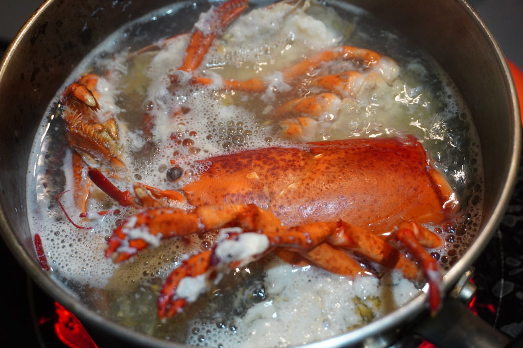 DSC00210.JPG