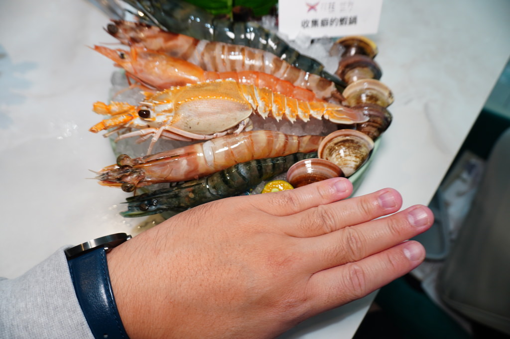 DSC02537.JPG