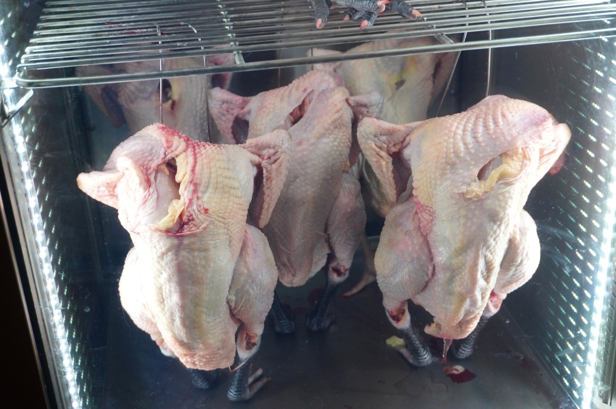 鳥力Torichikara | 台北燒鳥割烹 | 選用頂級竹地雞 | 無菜單雞肉料理