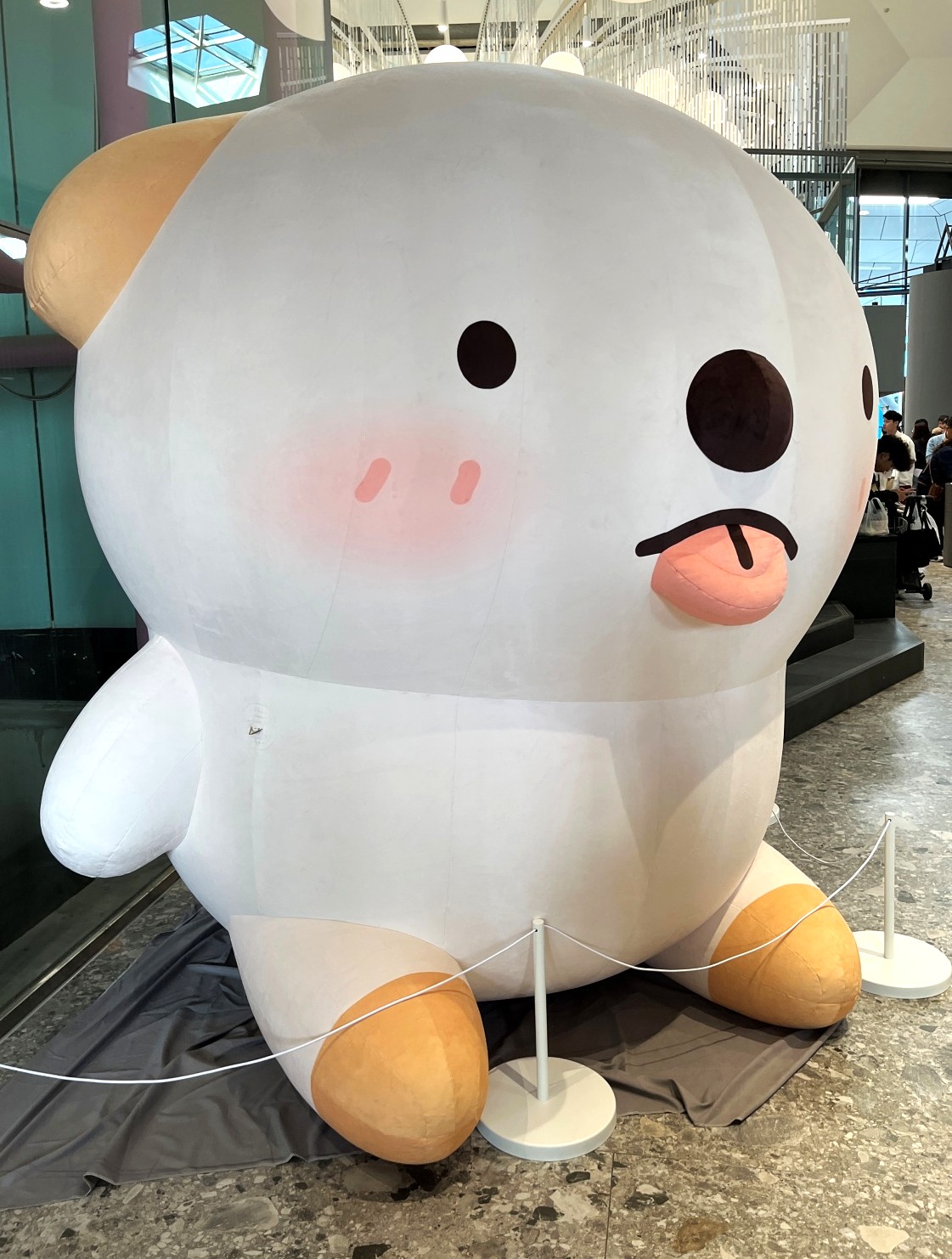 FOCUS 13 珊瑚廣場 | 高雄流行音樂中心 | 高雄最新商場